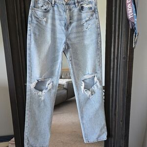 American Eagle Outfitters Light Blue Distressed Ankle Jeans